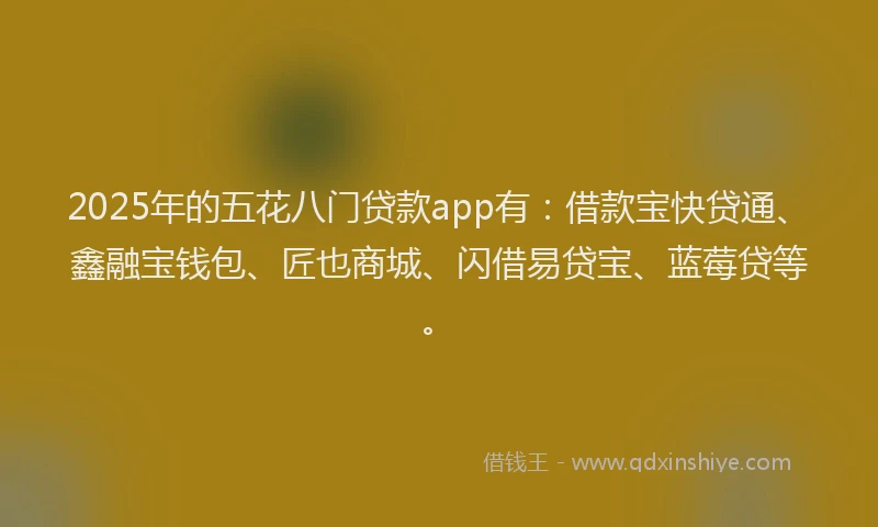 2025年的五花八门贷款app有：借款宝快贷通、鑫融宝钱包、匠也商城、闪借易贷宝、蓝莓贷等。