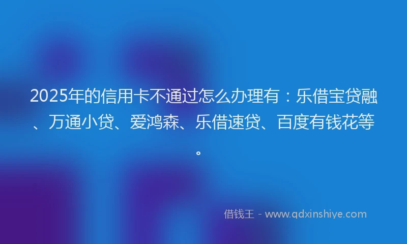 2025年的信用卡不通过怎么办理有：乐借宝贷融、万通小贷、爱鸿森、乐借速贷、百度有钱花等。