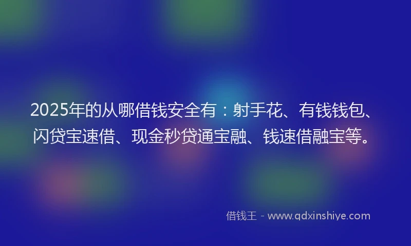 2025年的从哪借钱安全有：射手花、有钱钱包、闪贷宝速借、现金秒贷通宝融、钱速借融宝等。