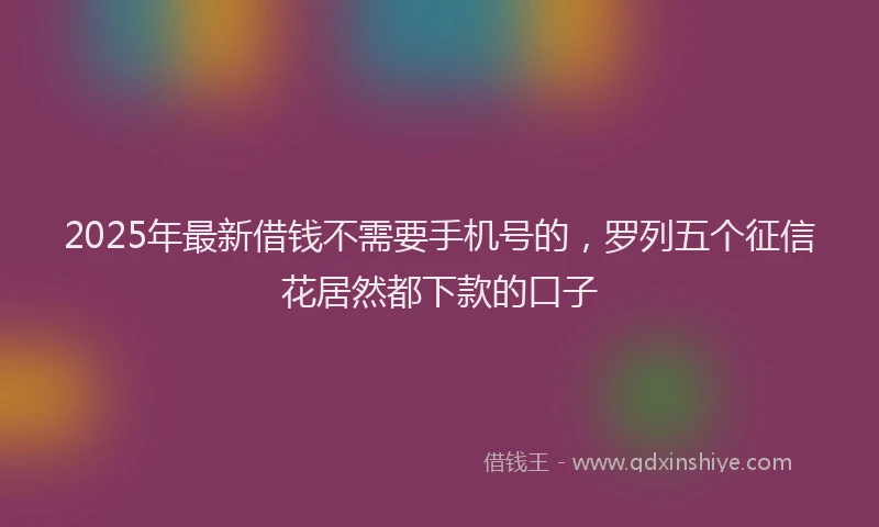 2025年最新借钱不需要手机号的，罗列五个征信花居然都下款的口子