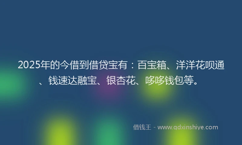 2025年的今借到借贷宝有：百宝箱、洋洋花呗通、钱速达融宝、银杏花、哆哆钱包等。