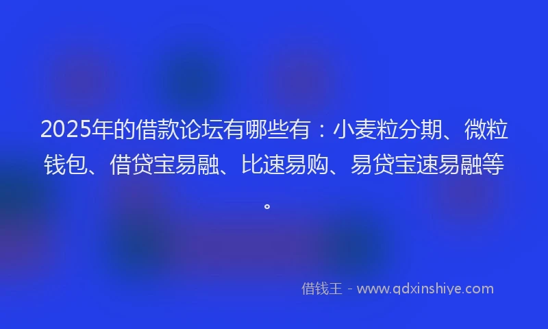2025年的借款论坛有哪些有：小麦粒分期、微粒钱包、借贷宝易融、比速易购、易贷宝速易融等。