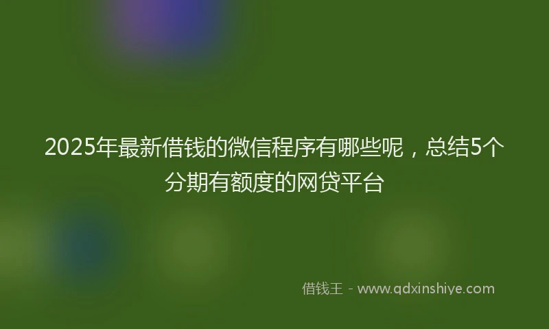 2025年最新借钱的微信程序有哪些呢，总结5个分期有额度的网贷平台