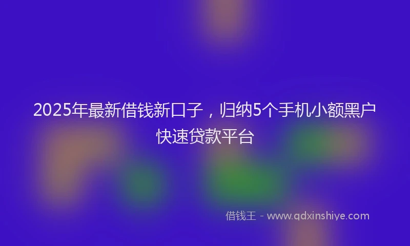 2025年最新借钱新口子，归纳5个手机小额黑户快速贷款平台