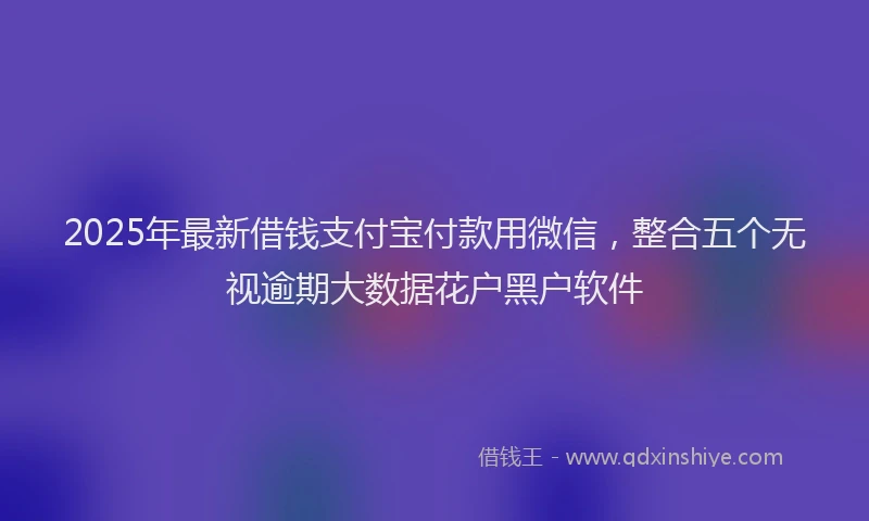 2025年最新借钱支付宝付款用微信，整合五个无视逾期大数据花户黑户软件