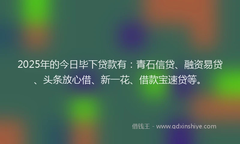 2025年的今日毕下贷款有：青石信贷、融资易贷、头条放心借、新一花、借款宝速贷等。