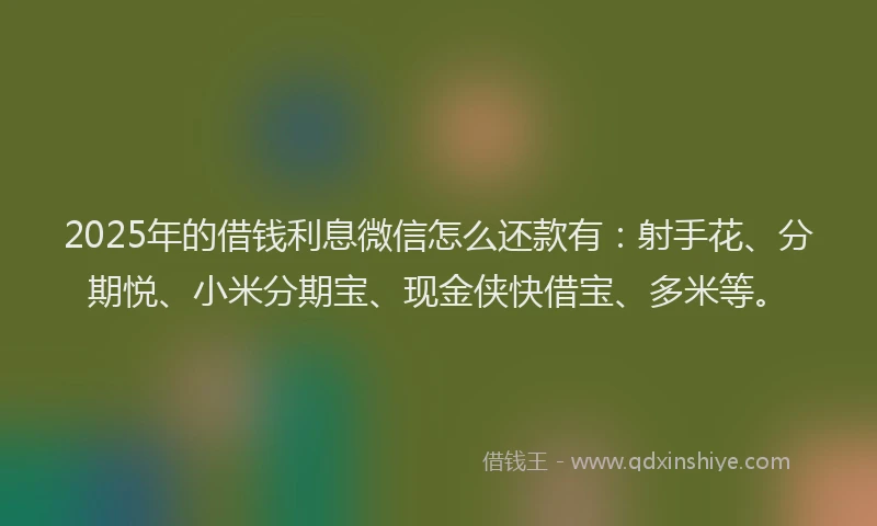 2025年的借钱利息微信怎么还款有：射手花、分期悦、小米分期宝、现金侠快借宝、多米等。