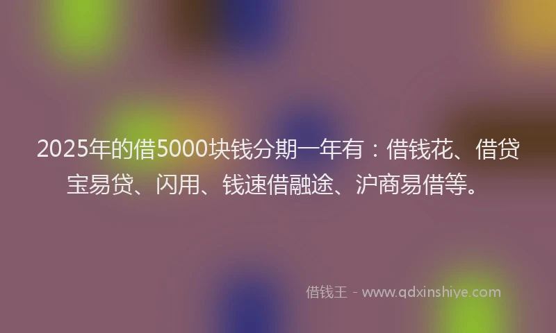 2025年的借5000块钱分期一年有：借钱花、借贷宝易贷、闪用、钱速借融途、沪商易借等。