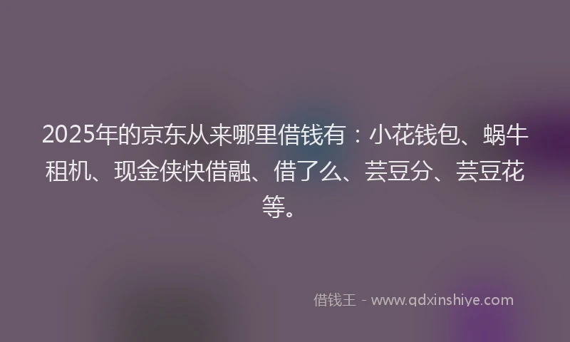 2025年的京东从来哪里借钱有：小花钱包、蜗牛租机、现金侠快借融、借了么、芸豆分、芸豆花等。