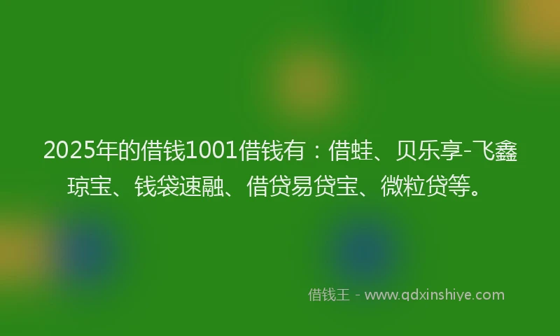 2025年的借钱1001借钱有：借蛙、贝乐享-飞鑫琼宝、钱袋速融、借贷易贷宝、微粒贷等。