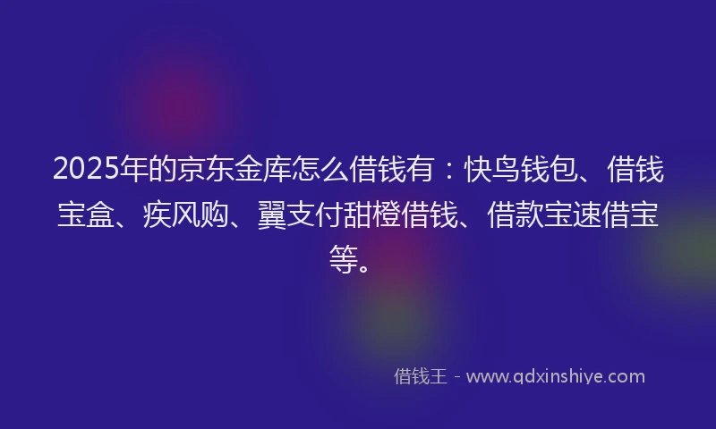 2025年的京东金库怎么借钱有：快鸟钱包、借钱宝盒、疾风购、翼支付甜橙借钱、借款宝速借宝等。