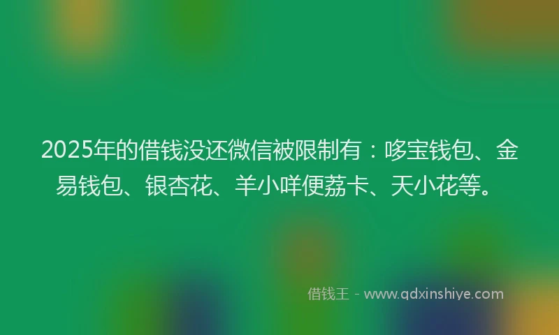 2025年的借钱没还微信被限制有：哆宝钱包、金易钱包、银杏花、羊小咩便荔卡、天小花等。
