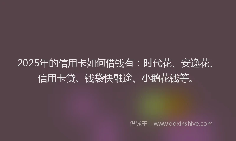 2025年的信用卡如何借钱有：时代花、安逸花、信用卡贷、钱袋快融途、小鹅花钱等。