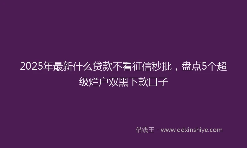 2025年最新什么贷款不看征信秒批，盘点5个超级烂户双黑下款口子
