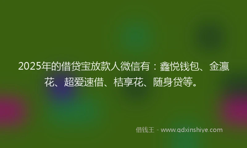 2025年的借贷宝放款人微信有：鑫悦钱包、金瀛花、超爱速借、桔享花、随身贷等。