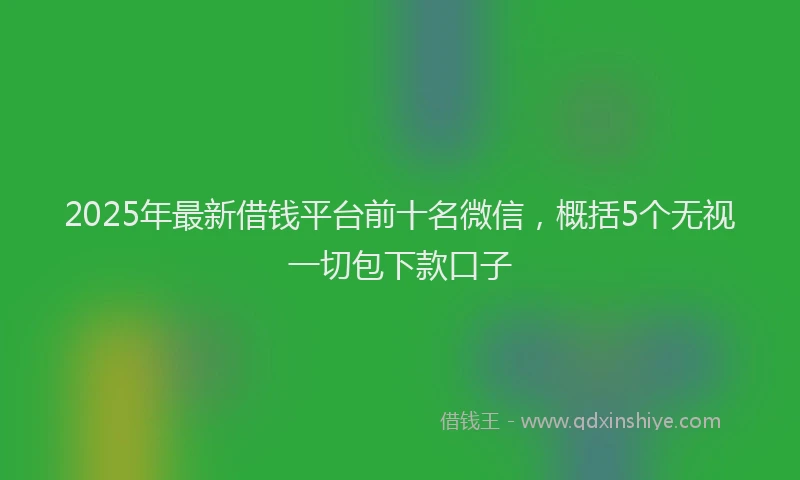 2025年最新借钱平台前十名微信，概括5个无视一切包下款口子