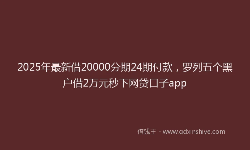 2025年最新借20000分期24期付款，罗列五个黑户借2万元秒下网贷口子app