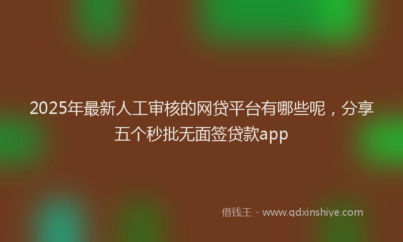 2025年最新人工审核的网贷平台有哪些呢，分享五个秒批无面签贷款app