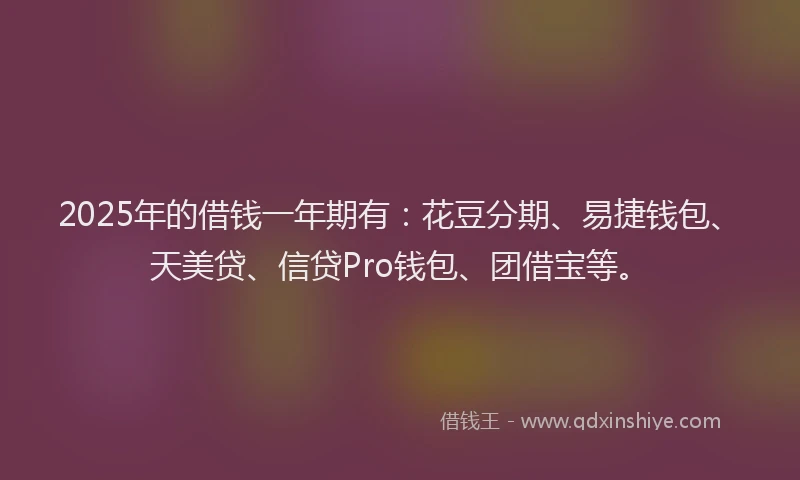 2025年的借钱一年期有：花豆分期、易捷钱包、天美贷、信贷Pro钱包、团借宝等。