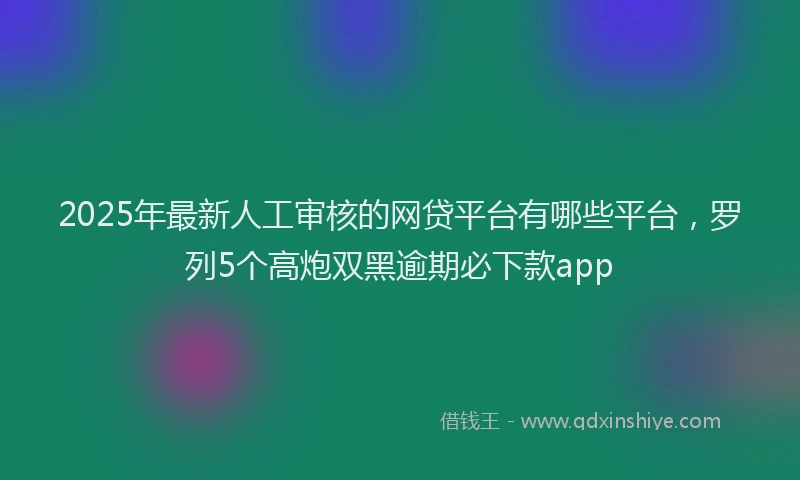 2025年最新人工审核的网贷平台有哪些平台，罗列5个高炮双黑逾期必下款app
