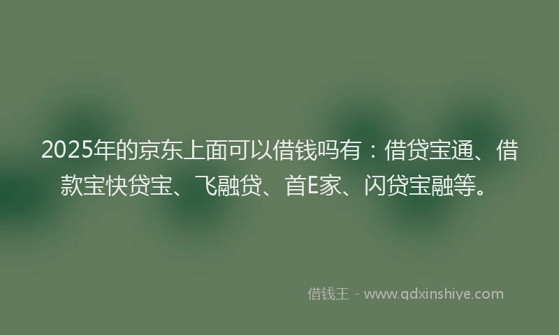 2025年的京东上面可以借钱吗有：借贷宝通、借款宝快贷宝、飞融贷、首E家、闪贷宝融等。