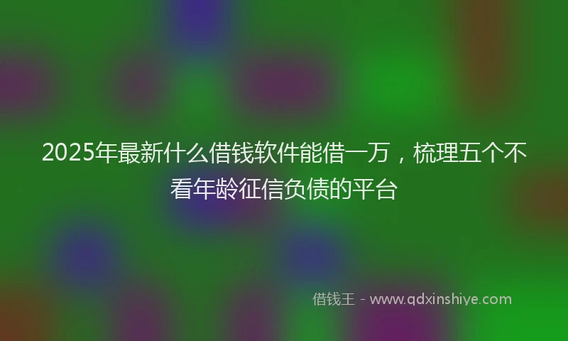 2025年最新什么借钱软件能借一万，梳理五个不看年龄征信负债的平台