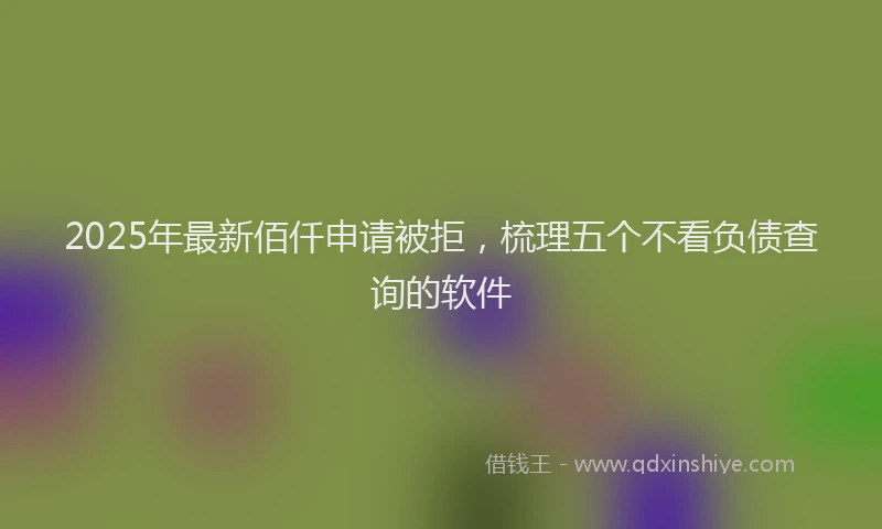 2025年最新佰仟申请被拒，梳理五个不看负债查询的软件