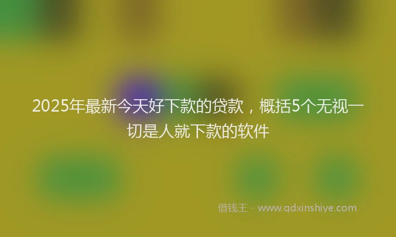 2025年最新今天好下款的贷款，概括5个无视一切是人就下款的软件