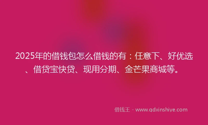 2025年的借钱包怎么借钱的有：任意下、好优选、借贷宝快贷、现用分期、金芒果商城等。