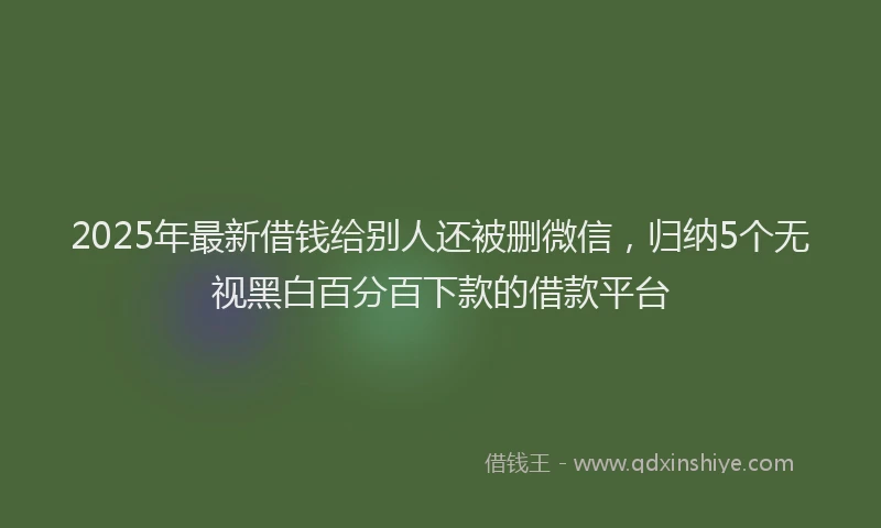 2025年最新借钱给别人还被删微信，归纳5个无视黑白百分百下款的借款平台