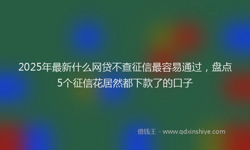 2025年最新什么网贷不查征信最容易通过，盘点5个征信花居然都下款了的口子