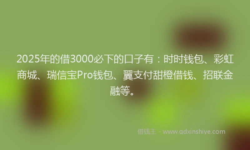 2025年的借3000必下的口子有：时时钱包、彩虹商城、瑞信宝Pro钱包、翼支付甜橙借钱、招联金融等。