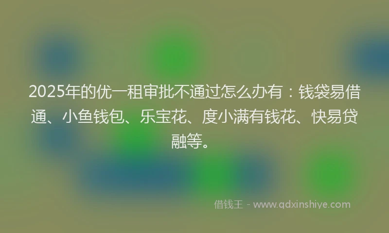 2025年的优一租审批不通过怎么办有：钱袋易借通、小鱼钱包、乐宝花、度小满有钱花、快易贷融等。