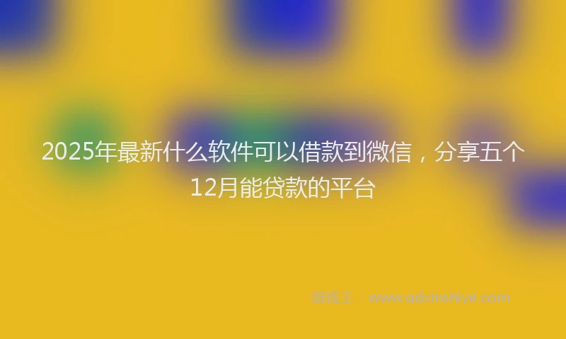 2025年最新什么软件可以借款到微信，分享五个12月能贷款的平台