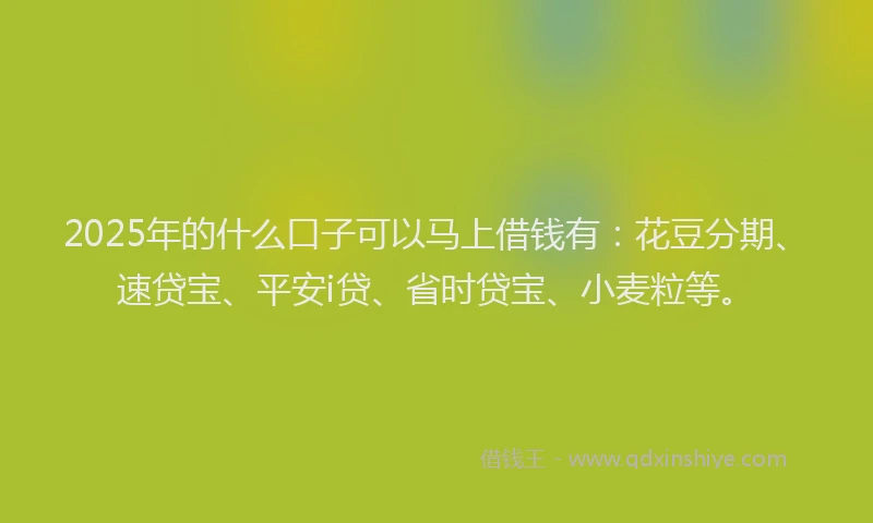 2025年的什么口子可以马上借钱有：花豆分期、速贷宝、平安i贷、省时贷宝、小麦粒等。