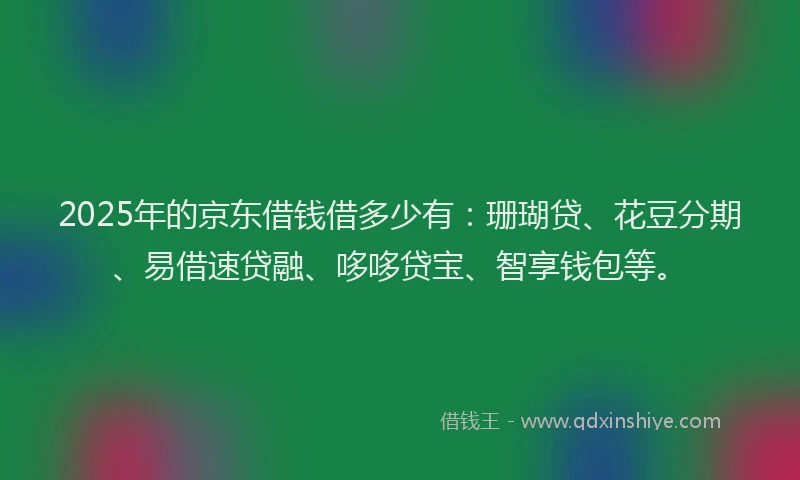 2025年的京东借钱借多少有：珊瑚贷、花豆分期、易借速贷融、哆哆贷宝、智享钱包等。