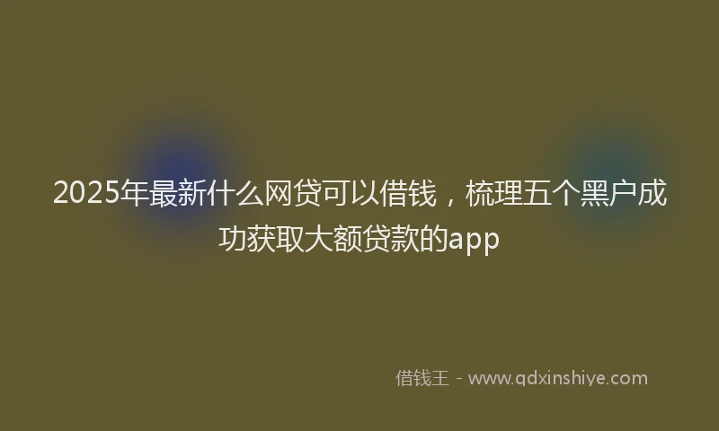 2025年最新什么网贷可以借钱，梳理五个黑户成功获取大额贷款的app
