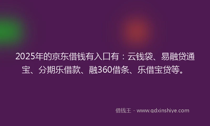 2025年的京东借钱有入口有：云钱袋、易融贷通宝、分期乐借款、融360借条、乐借宝贷等。