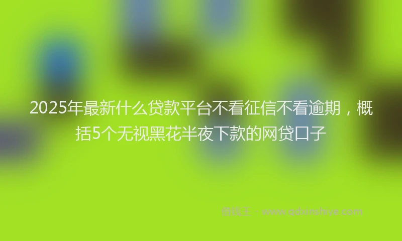 2025年最新什么贷款平台不看征信不看逾期，概括5个无视黑花半夜下款的网贷口子