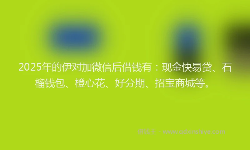 2025年的伊对加微信后借钱有：现金快易贷、石榴钱包、橙心花、好分期、招宝商城等。