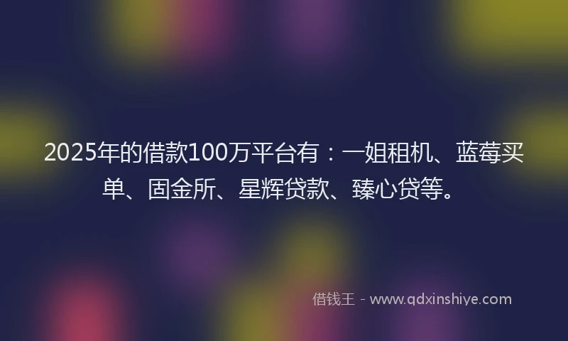 2025年的借款100万平台有：一姐租机、蓝莓买单、固金所、星辉贷款、臻心贷等。