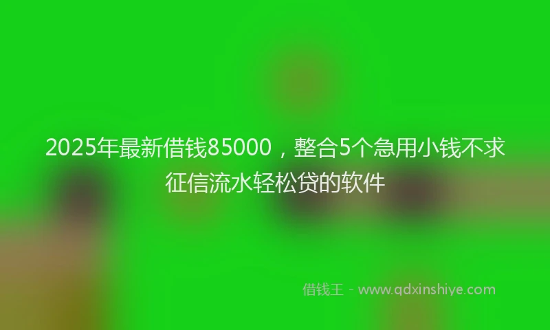 2025年最新借钱85000，整合5个急用小钱不求征信流水轻松贷的软件