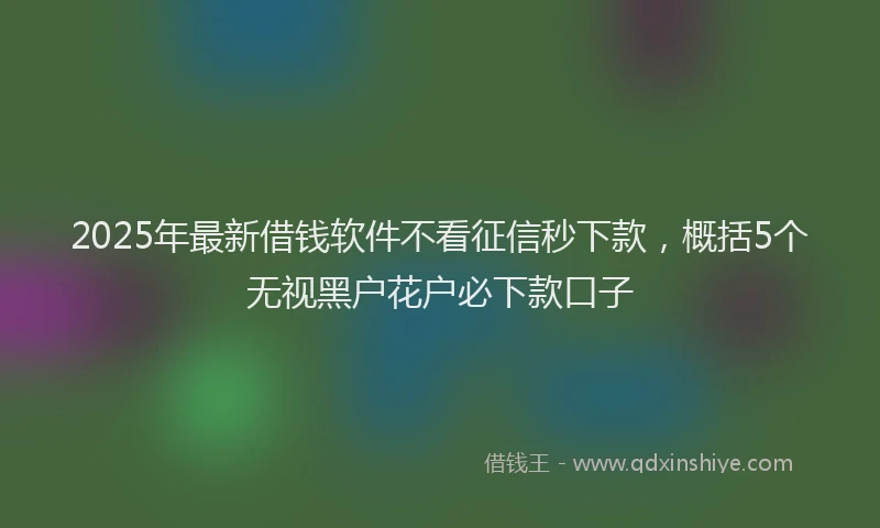2025年最新借钱软件不看征信秒下款，概括5个无视黑户花户必下款口子
