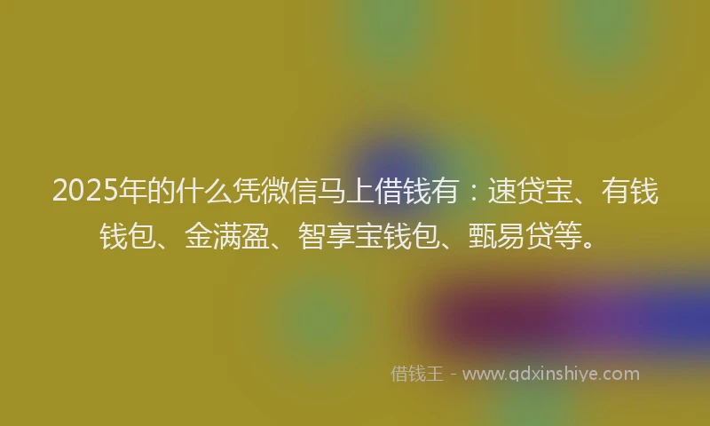 2025年的什么凭微信马上借钱有：速贷宝、有钱钱包、金满盈、智享宝钱包、甄易贷等。