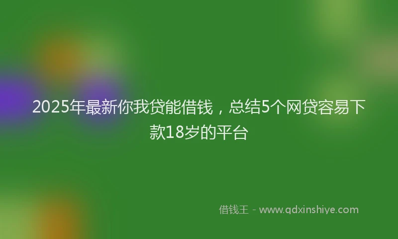 2025年最新你我贷能借钱，总结5个网贷容易下款18岁的平台
