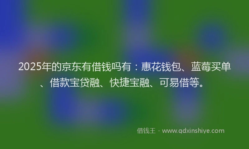 2025年的京东有借钱吗有：惠花钱包、蓝莓买单、借款宝贷融、快捷宝融、可易借等。