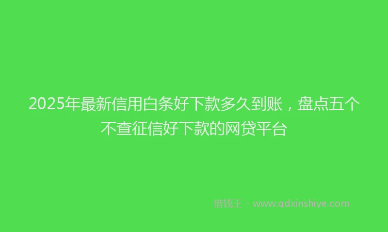 2025年最新信用白条好下款多久到账，盘点五个不查征信好下款的网贷平台