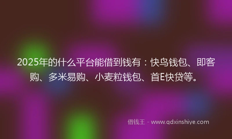 2025年的什么平台能借到钱有：快鸟钱包、即客购、多米易购、小麦粒钱包、首E快贷等。
