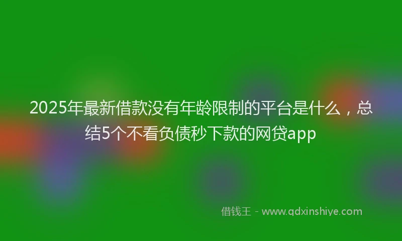 2025年最新借款没有年龄限制的平台是什么，总结5个不看负债秒下款的网贷app
