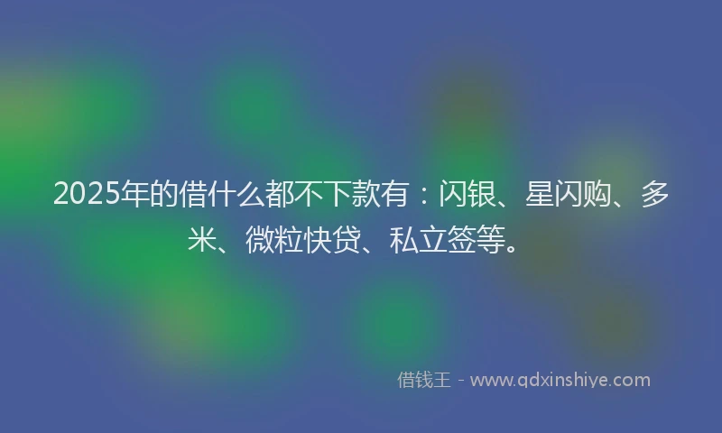2025年的借什么都不下款有：闪银、星闪购、多米、微粒快贷、私立签等。